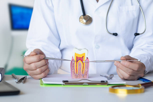 Best Emergency Root Canal Treatment in Kincheloe, MI